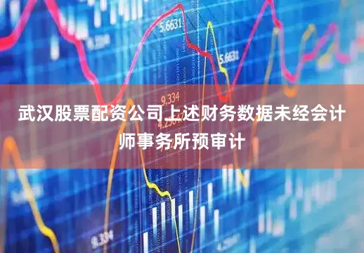 武汉股票配资公司上述财务数据未经会计师事务所预审计