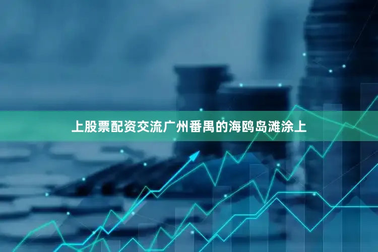 上股票配资交流广州番禺的海鸥岛滩涂上